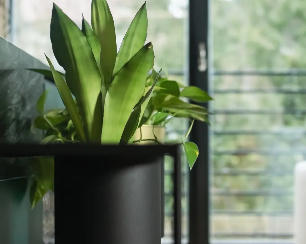Velký stojan s květináči do obývacího pokoje Flora