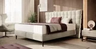 Dream