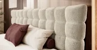 Dream