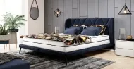 Dream