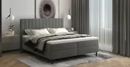Dream