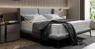 Dream