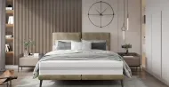 Dream