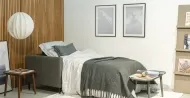 Felix