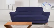 Orchis