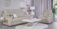 Papavero