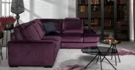Calluna