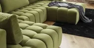 Bonito