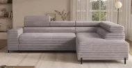 Colesio