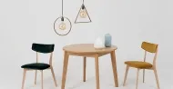 Woodyou