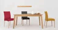 Woodyou