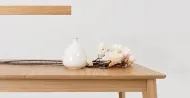 Woodyou