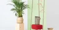 Zet