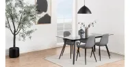 Monti