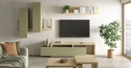 Bota