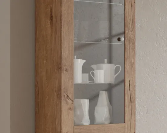 Moderní 1-dvířková vitrína do obývacího pokoje Larona