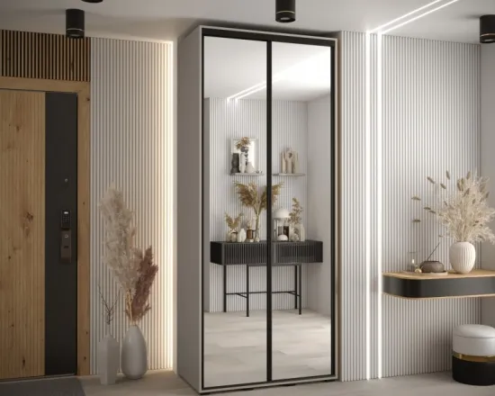 Skriňa s posuvnými dverami so zrkadlom Dakota 2 100 cm 60 cm hĺbky