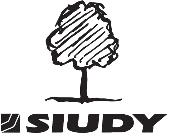Siudy