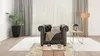 Fotel Chesterfield York