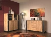 Moderní komoda do obývacího pokoje Wood