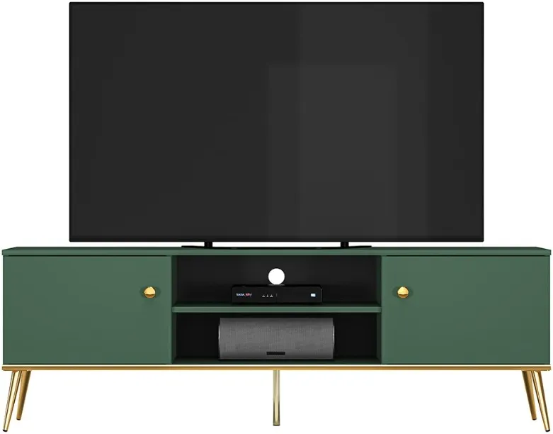 Szafka RTV Forest