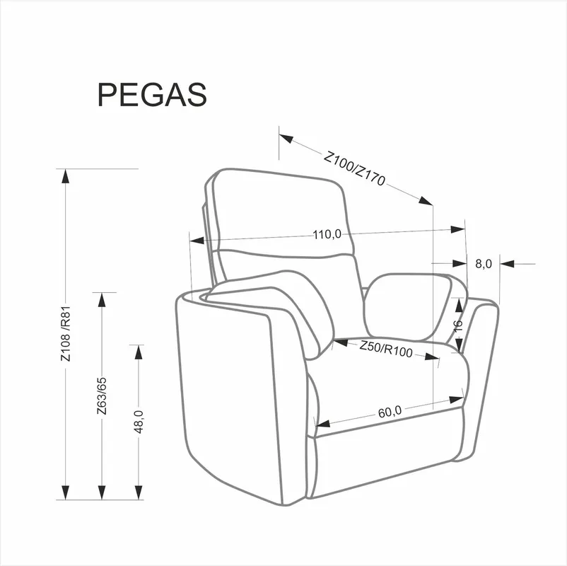 Fotel Pegas