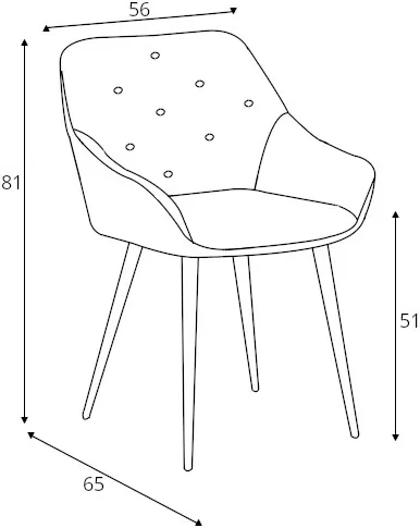 Stylová židle do jídelny nebo obývacího pokoje K487