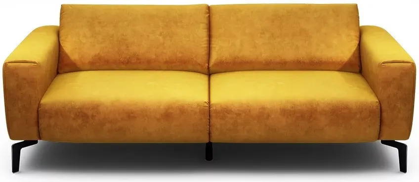 Dvouapůlmístná pohovka Cosy
