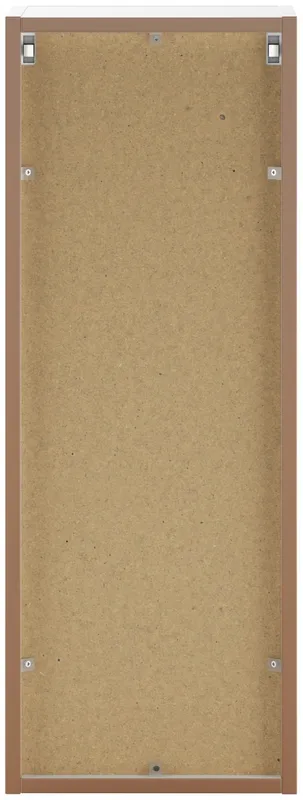 Poloskrinka Aster White