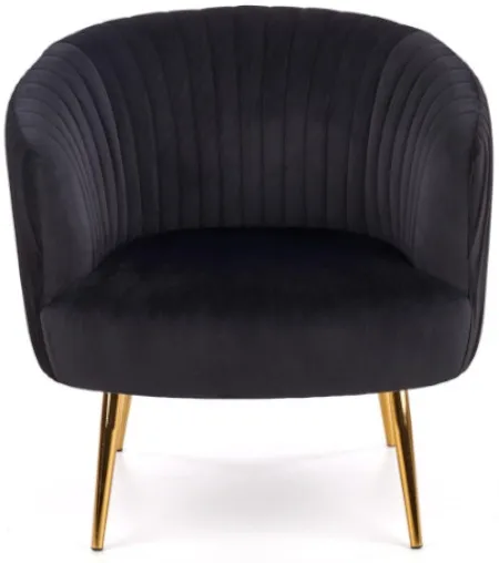 Kreslo Crown