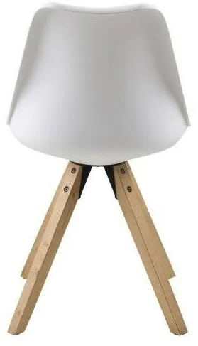 Stolička Dima