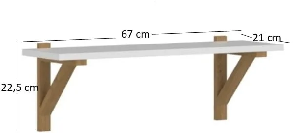Półka 65 Neptun 