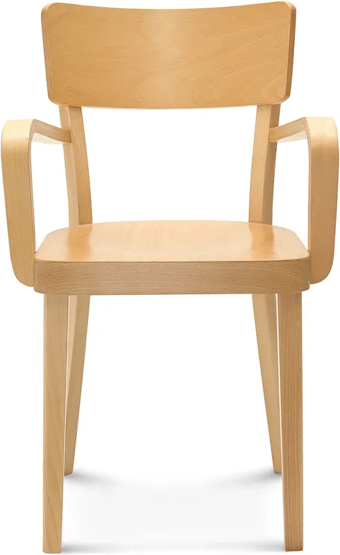 Židle s područkami Solid