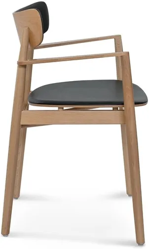 Židle s područkami Nopp