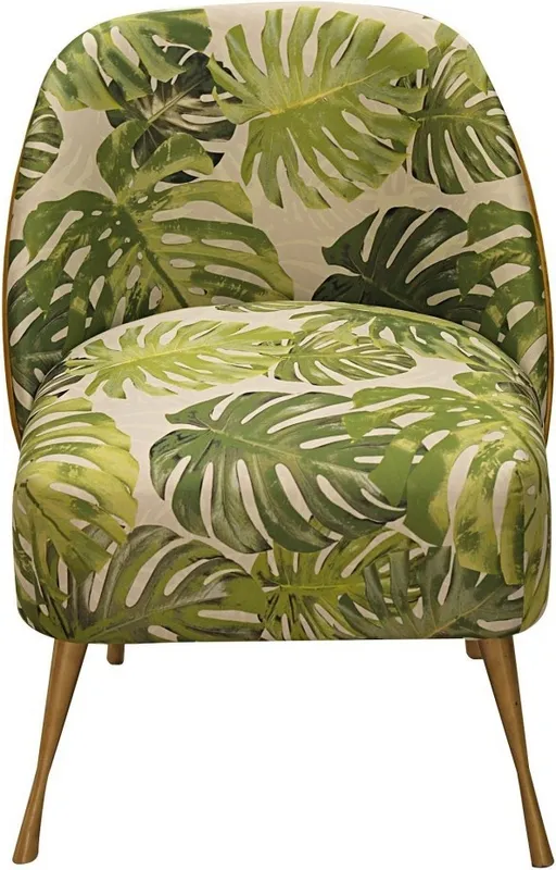 Křeslo Monstera