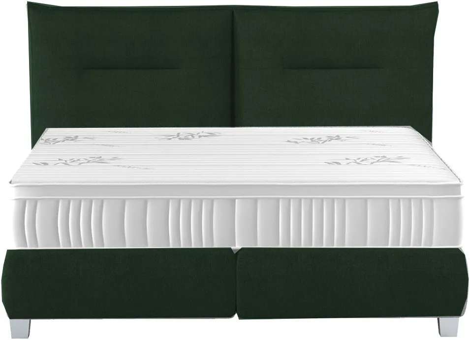 Postel 160 Fog