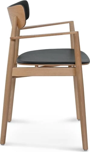 Krzesło z podłokietnikami Nopp