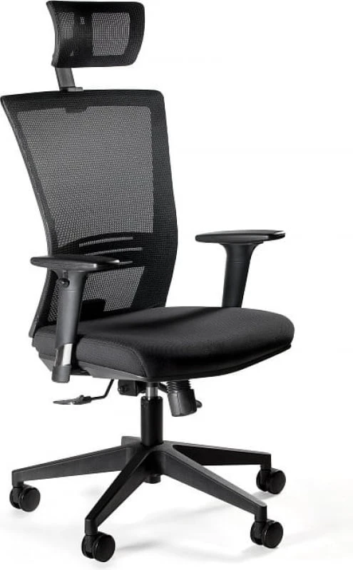 Křeslo Ergonic