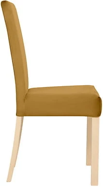 Čalouněná židle do jídelny nebo kuchyně Campel