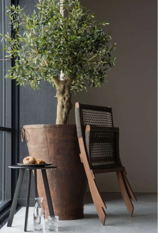 Krzesło składane Lois z drewna eukaliptusowego, ciemnobrązowy