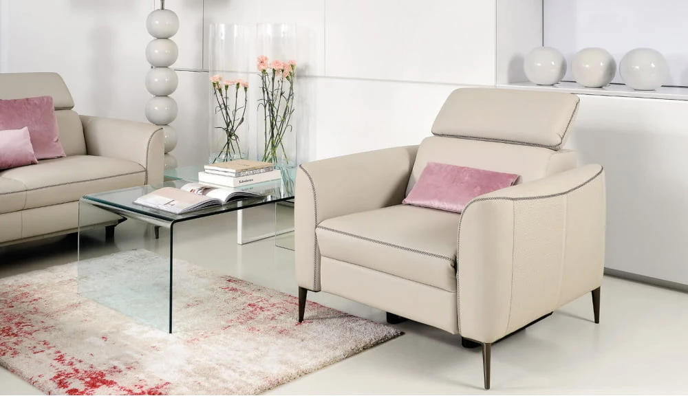 Elegantní kožené křeslo do obývacího pokoje Dianthus