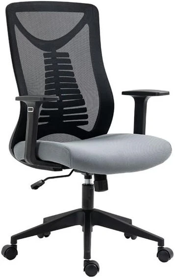 Fotel Ergolex