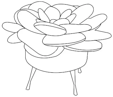 Taburet Flower — 4
