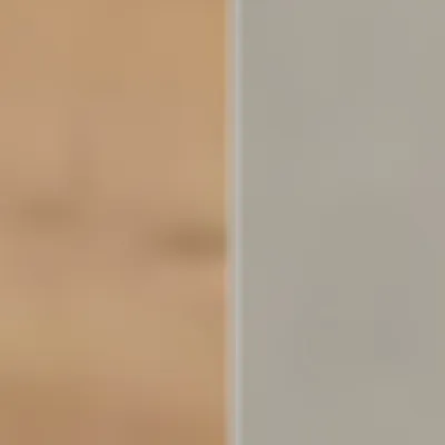 Predsieň Miro — 2