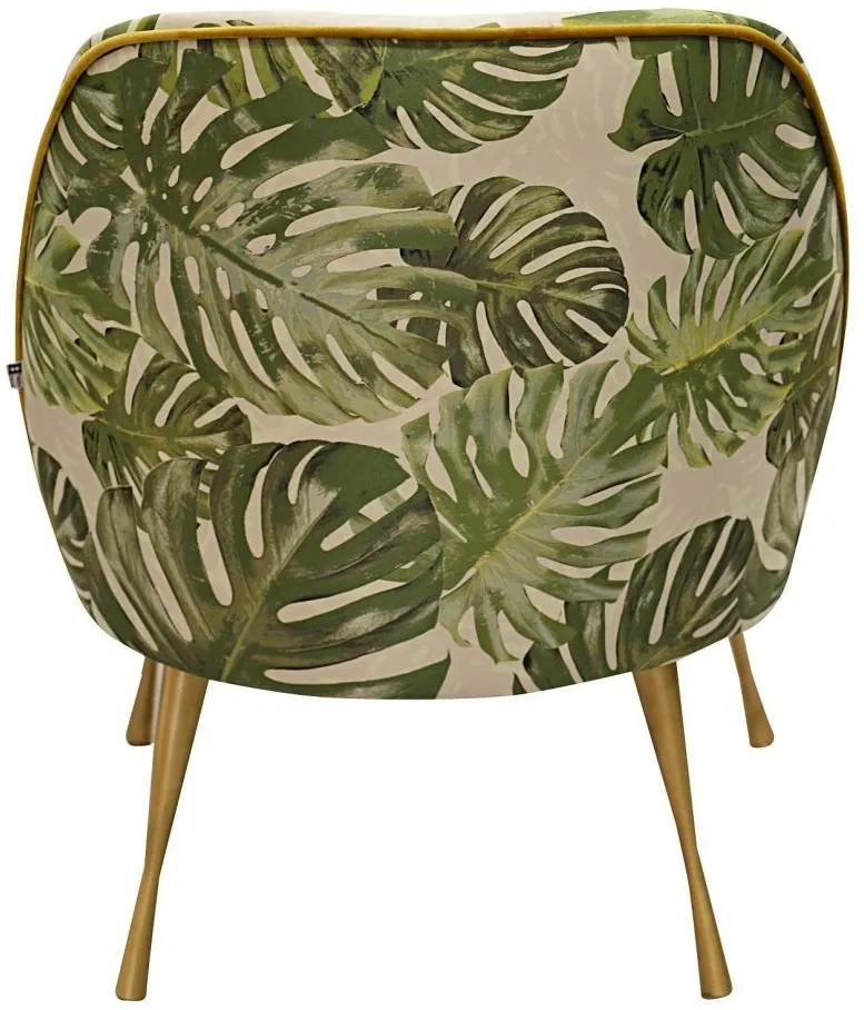 Kreslo Monstera — 3