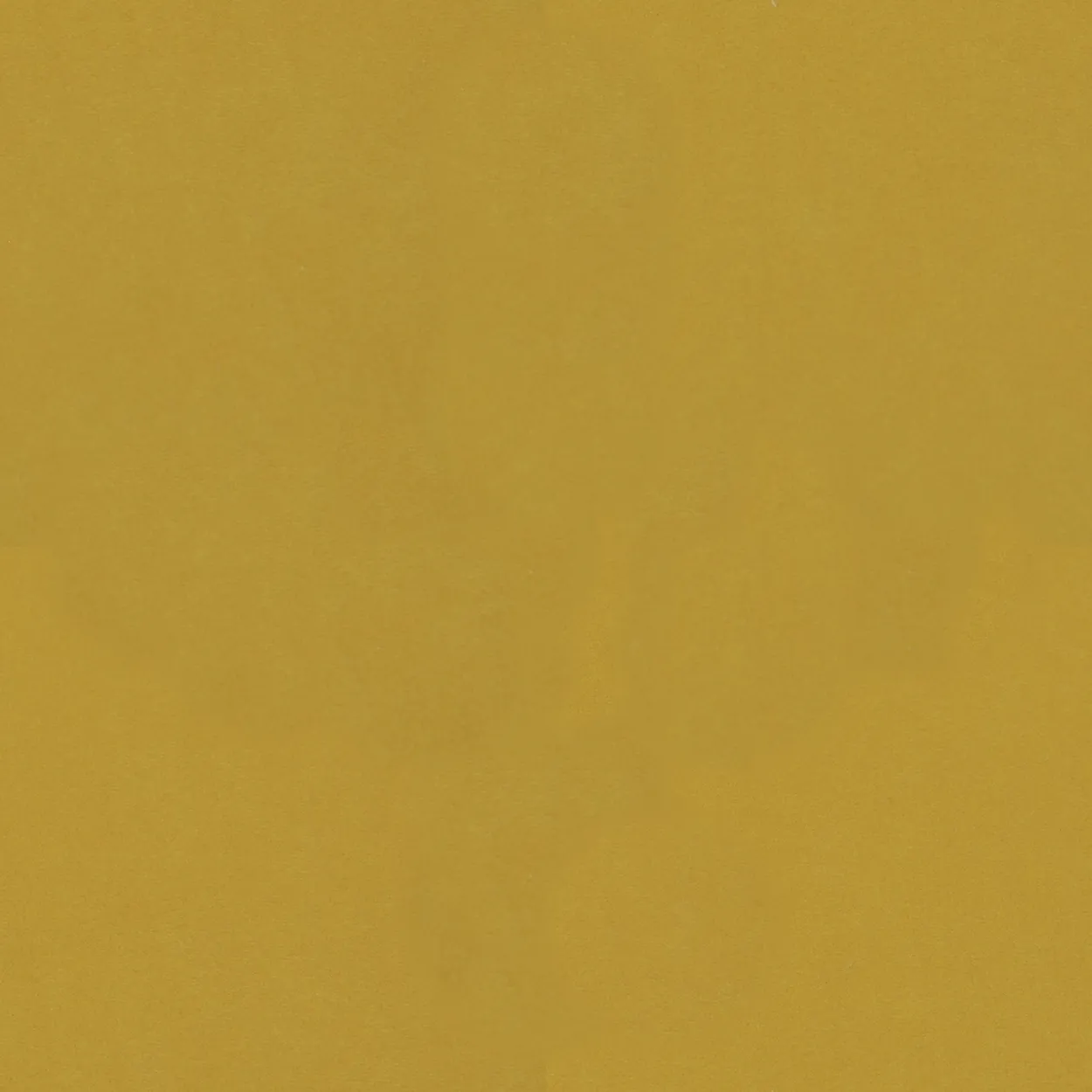 Kreslo Bee s podrúčkami — 4
