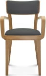 Krzesło z podłokietnikami Solid