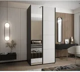 Skriňa s posuvnými dverami so zrkadlom Lux 3 100