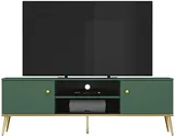 TV stolík Forest