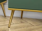 TV stolík Forest